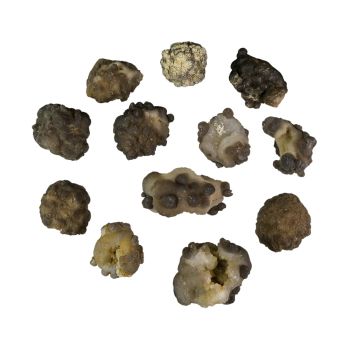 Chalcedony Noodles 12 Pack "Hot Deal"